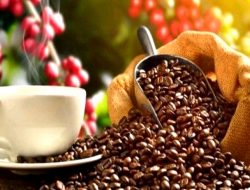 DIMANA LEVEL KOPI ANDA?
