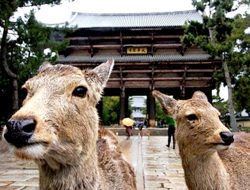 SKL 2022 – NARA (1)