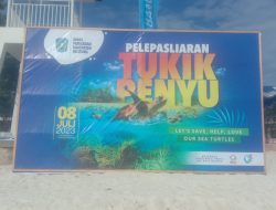PELEPASLIARAN TUKIK PENYU