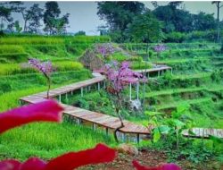 Wisata Alam Lembur Anyar, Mempunyai Banyak Villa dan Fasilitas, Dengan Harga Tiket Terjangkau