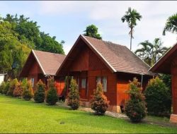 Pavo Resort Sentul, Penginapan Strategis dan Nyaman di Kawasan Sentul Bogor