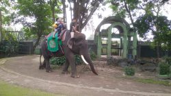 “Taman Rimba” Masih Tetap Jadi Objek Wisata Favorit di Jambi, Sedot Puluhan Ribu Pengunjung di Momen Lebaran