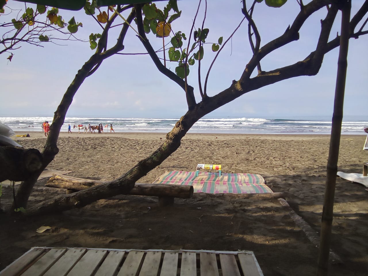 PANGANDARAAN SAAT INI